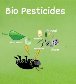 Bio Pesticides