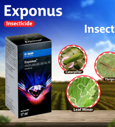 BUY-ONLINE-BASF-INSECTICIDES-IN-PUNJAB-INDIA